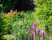 Blick hinters Rondell