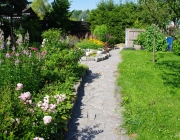 Alles in voller Blüte