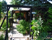 Blick vom Rondell zur Laube