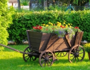 Fuhrwagen
