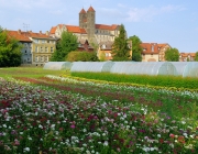 Schloss Quedlinburg