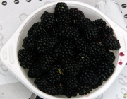 Brombeeren