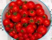 Tomaten