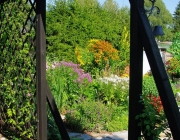 Blick durch das Rankgerüst