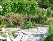 Projekt Miniwald