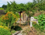 Projekt Miniwald
