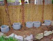 Projekt Miniwald