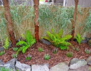 Projekt Miniwald