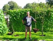 Strauchdieb mit Flieder