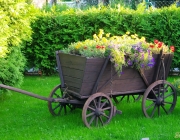 Fuhrwagen