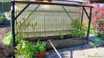 Tomatenzelt