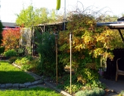Blick zum Pergolabeet