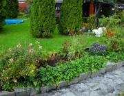 Blumenbeet
