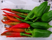 Paprika und Chili