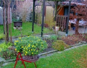 Blick aufs Pergolabeet