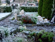 Blick zum Blumenbeet