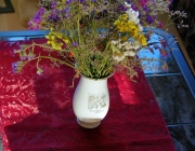 Strandflieder (Limonium)