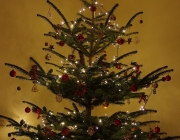 Weihnachtsbaum