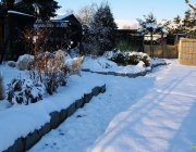 Winterimpressionen