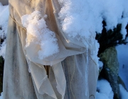 Winterimpressionen