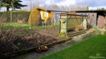 Blick zum Tomatenzelt