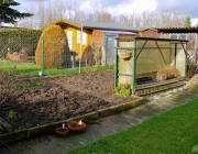 Blick zum Tomatenzelt