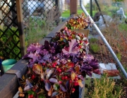 Blumenkasten