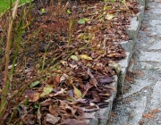 Blumenbeet