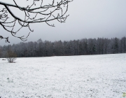 verschneite Landschaft