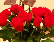 Rosen