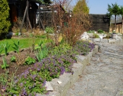 Blumenbeet