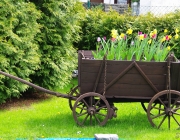 Fuhrwagen