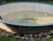 Pool Chaos