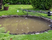 Neuer Gartenteich?
