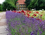 Quedlinburg, Wordgarten