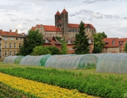 Quedlinburg, Schloss