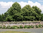 Schlosspark Ballenstedt