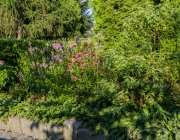 Blumenbeet