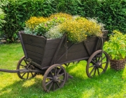 Fuhrwagen