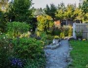 Blick in den Garten