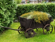 Fuhrwagen
