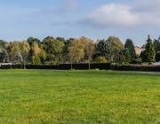 Gartenanlage