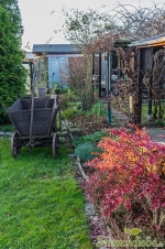 Blick zum Pergolabeet