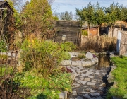 Blick zum Miniwald