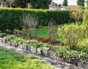 Blumenbeet