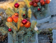 Weihnachts-Deko