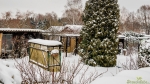 Blick in den Garten