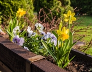 Blumenkasten