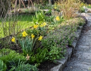 Blumenbeet