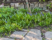 die "blaue Ecke"